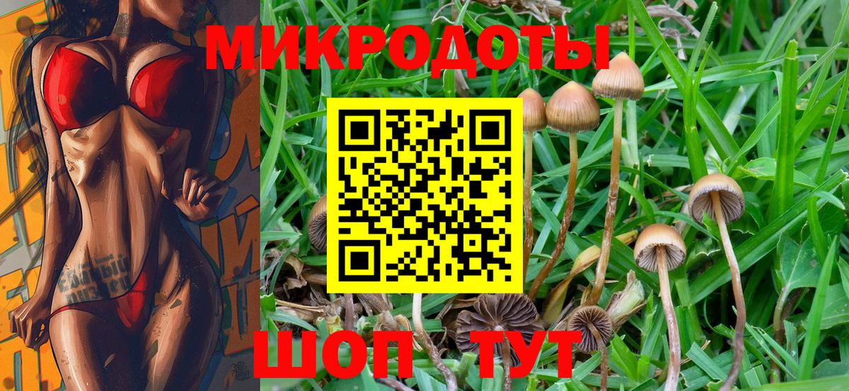 Псилоцибиновые грибы Psilocybine cubensis Югорск
