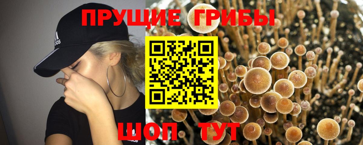Галлюциногенные грибы прущие грибы  Галлюциногенные грибы Cubensis  Вход с VPN  Югорск 